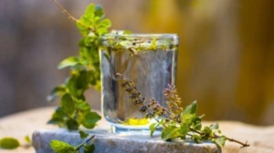 8 Health Benefits of Tulsi Leaves